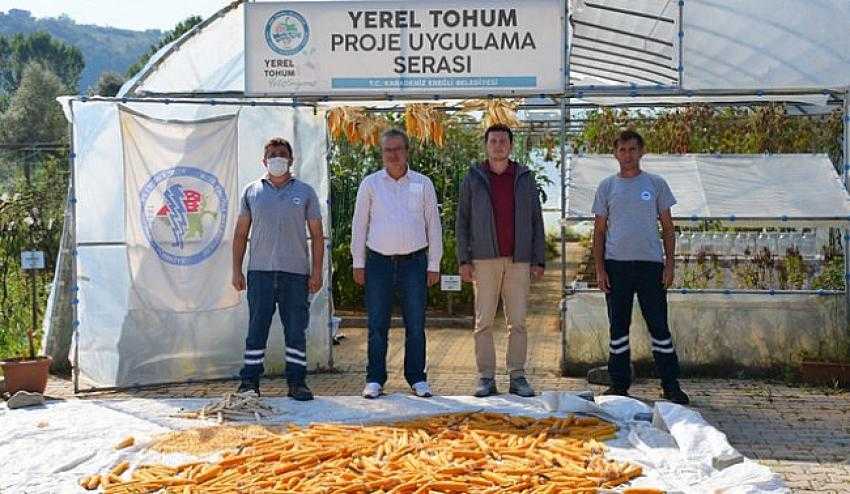 14 çeşit ata tohumu çoğaltıldı..