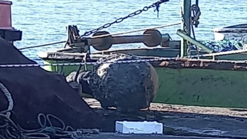 Bozhane Limanı'nda balıkçılar Mayın  buldu.