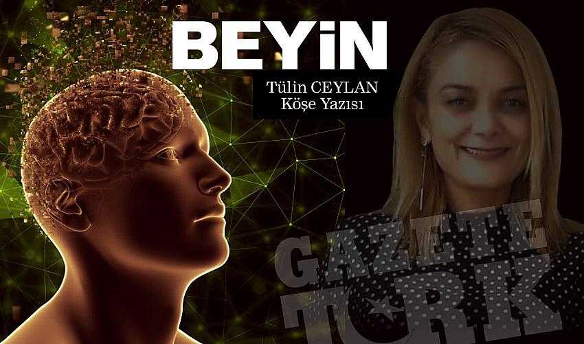 Tülin Ceylan Köşe Yazısı 'BEYİN'..